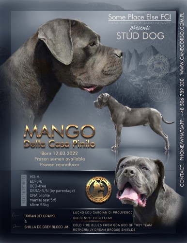 MANGO